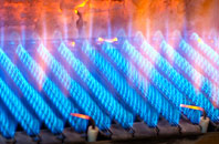 Newbridge Green gas fired boilers